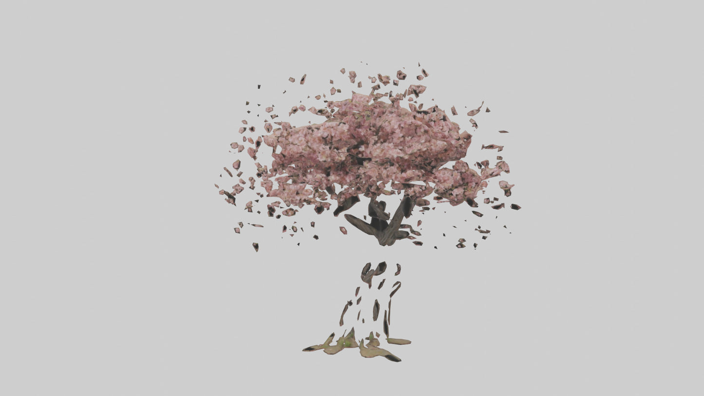 3D model Cherry tree model VR / AR / low-poly