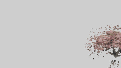 3D model Cherry tree model VR / AR / low-poly