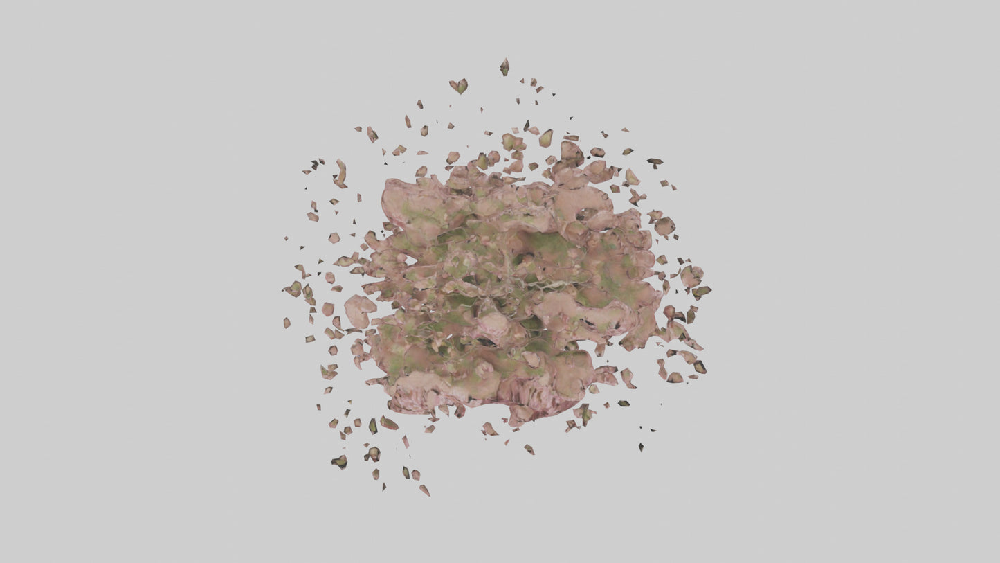 3D model Cherry tree model VR / AR / low-poly