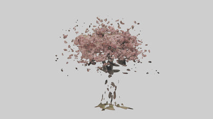 3D model Cherry tree model VR / AR / low-poly