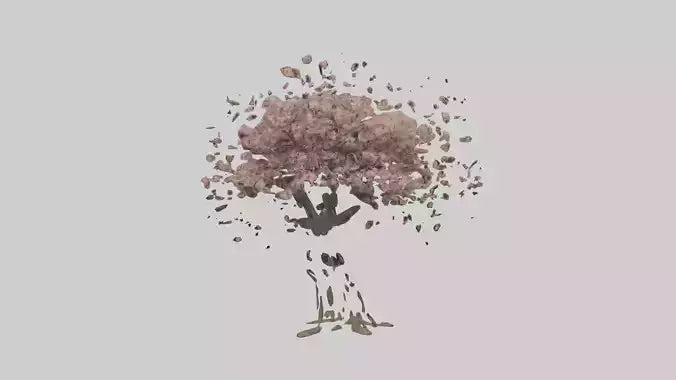 3D model Cherry tree model VR / AR / low-poly