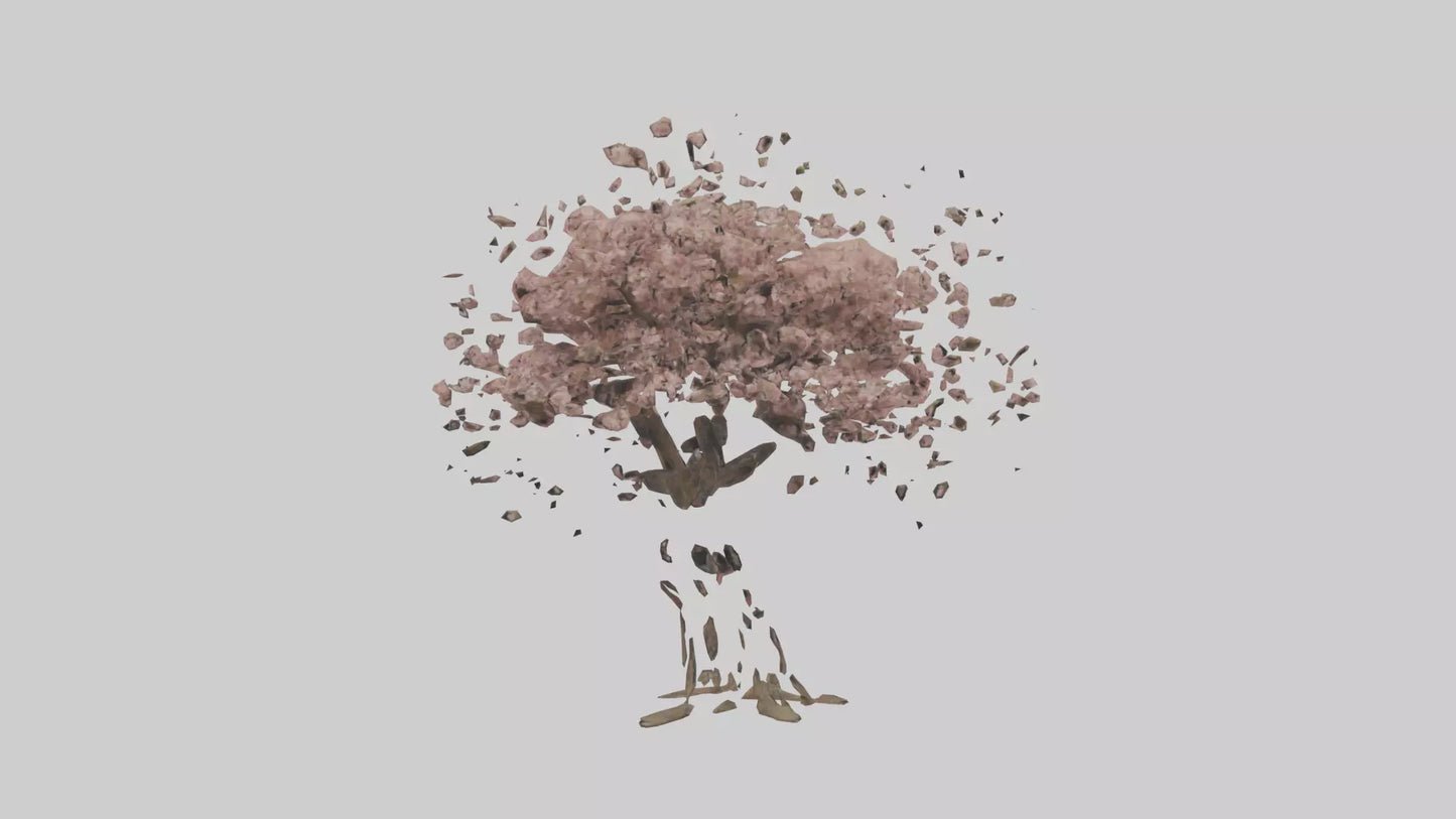 3D model Cherry tree model VR / AR / low-poly