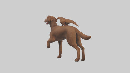 Chesapeake Bay Retriever retrieving model 3D model