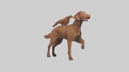 Chesapeake Bay Retriever retrieving model 3D model