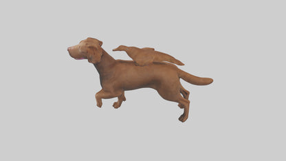 Chesapeake Bay Retriever retrieving model 3D model