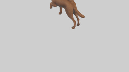 Chesapeake Bay Retriever retrieving model 3D model