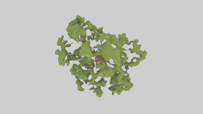 3D model Chestnut tree model VR / AR / low-poly