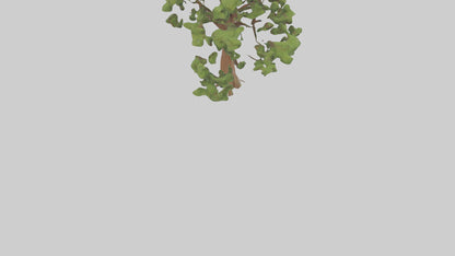 3D model Chestnut tree model VR / AR / low-poly