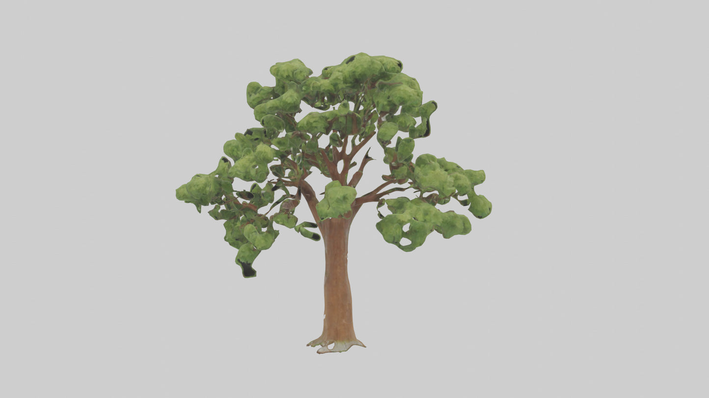 3D model Chestnut tree model VR / AR / low-poly