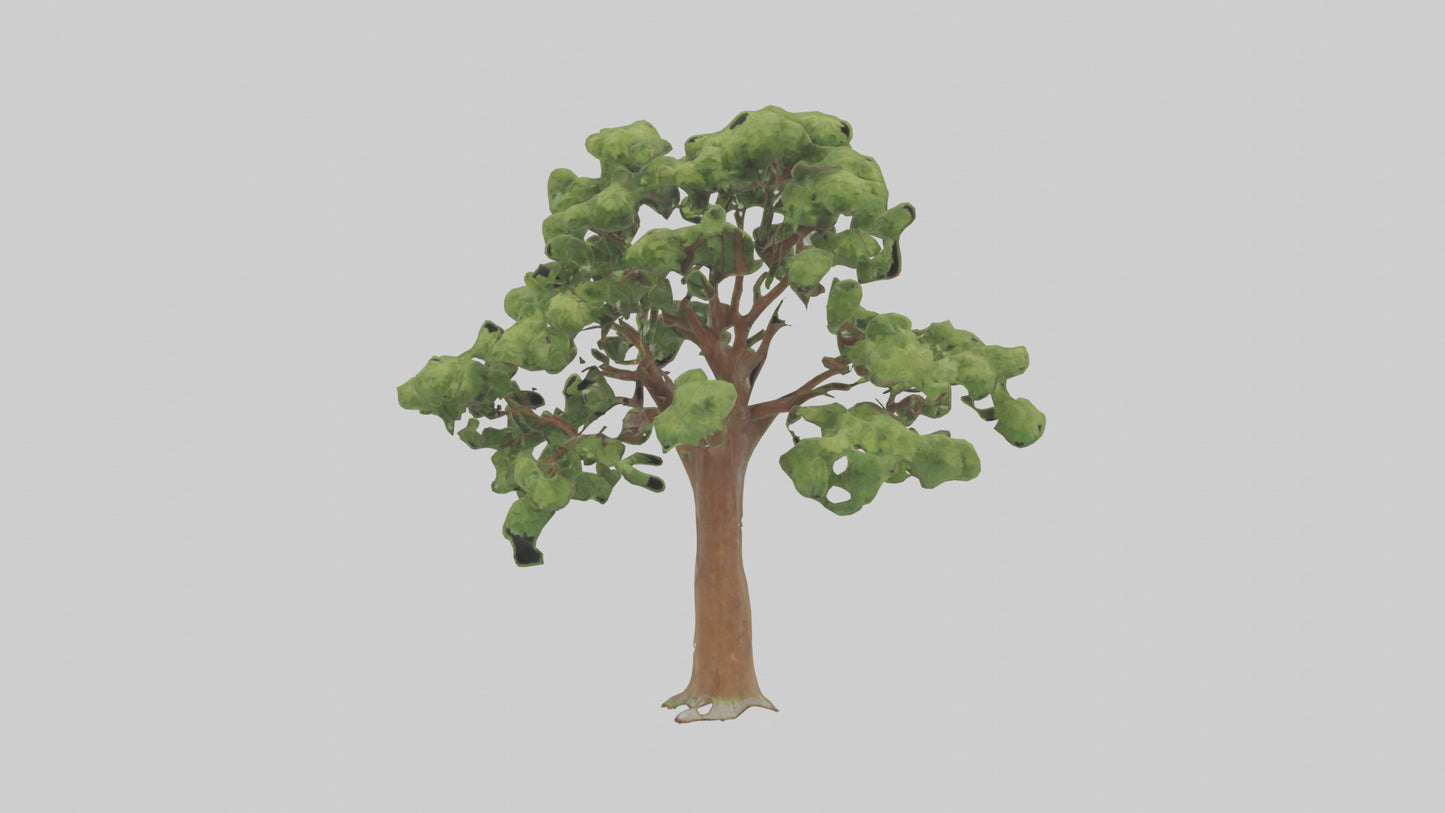 3D model Chestnut tree model VR / AR / low-poly