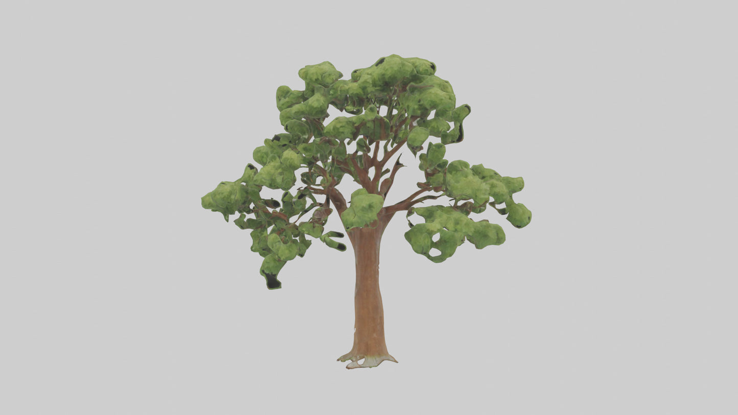 3D model Chestnut tree model VR / AR / low-poly