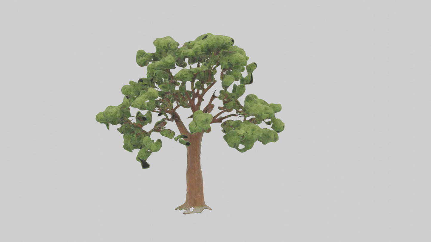 3D model Chestnut tree model VR / AR / low-poly