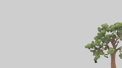 3D model Chestnut tree model VR / AR / low-poly