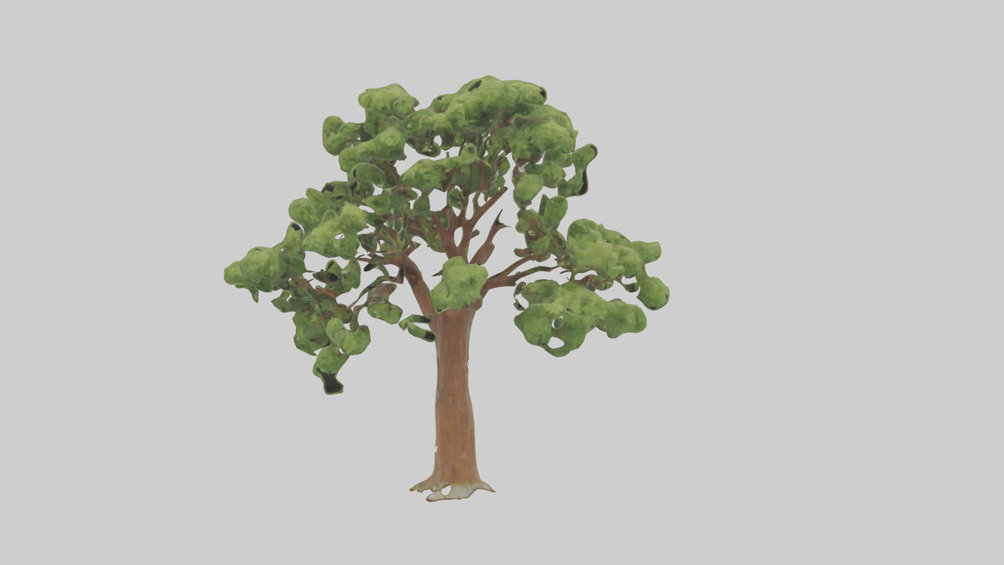 3D model Chestnut tree model VR / AR / low-poly