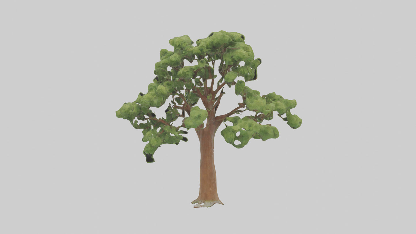 3D model Chestnut tree model VR / AR / low-poly