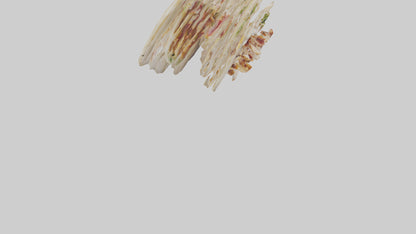 Chicken bacon ranch wrap model 3D model