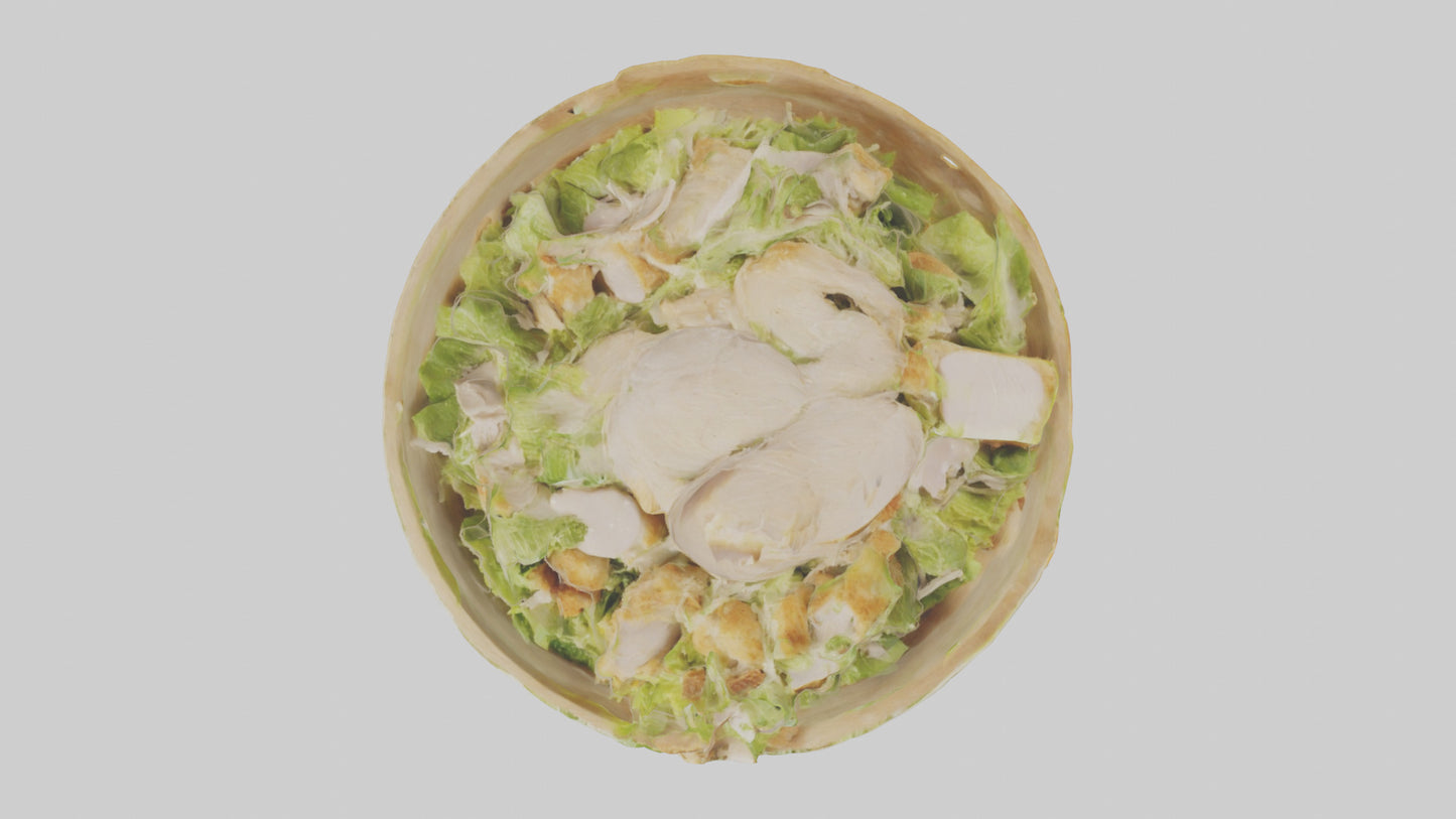 Chicken Caesar salad model 3D model