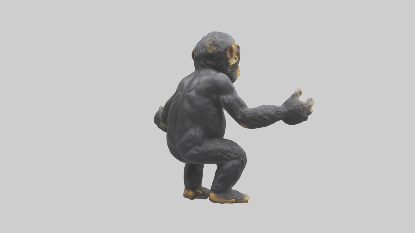 Chimpanzee statue model VR / AR / low-poly