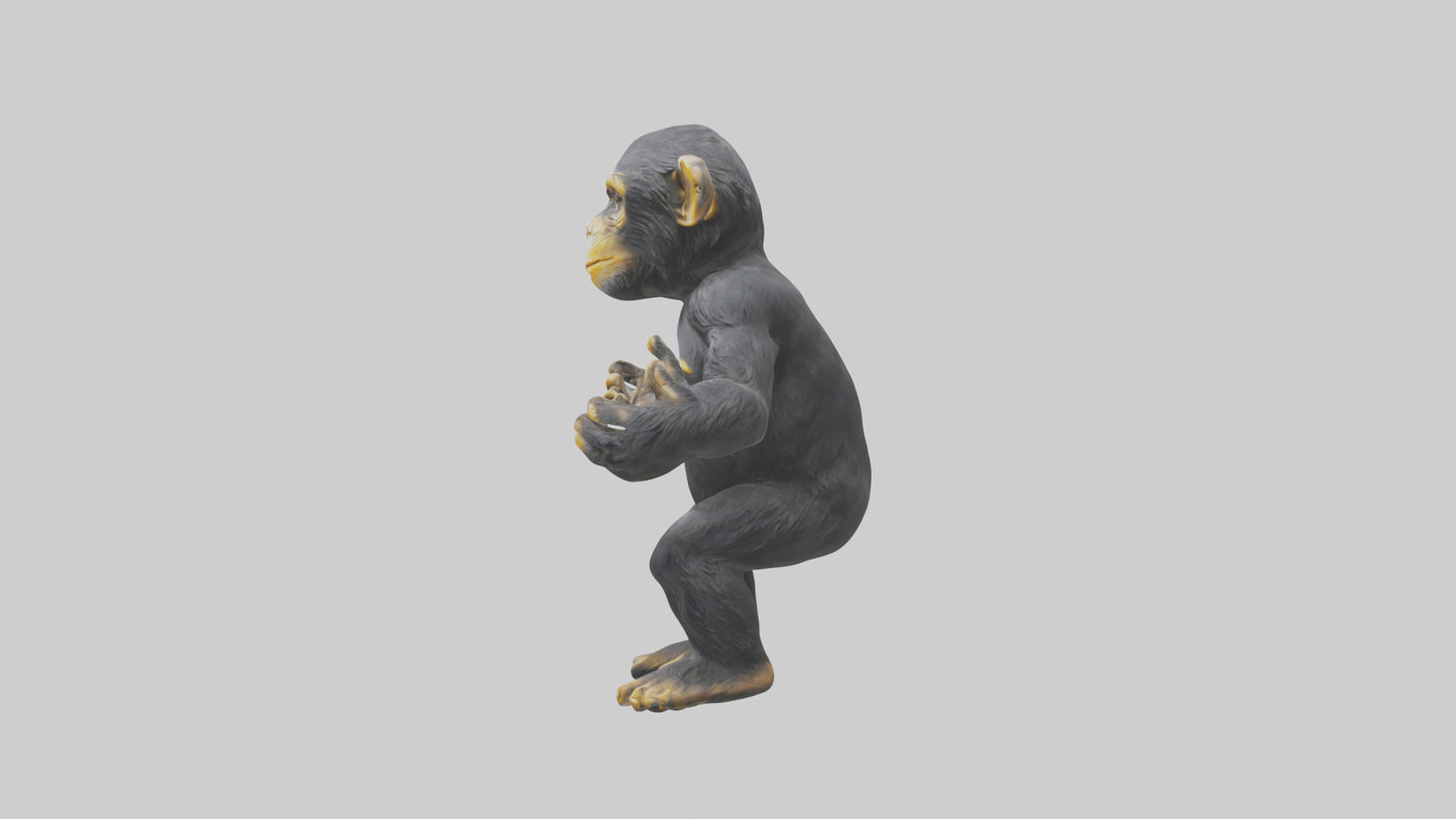 Chimpanzee statue model VR / AR / low-poly