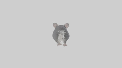Chinchilla hopping model VR / AR / low-poly