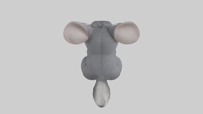 3D model Chinchilla Model 1 VR / AR / low-poly