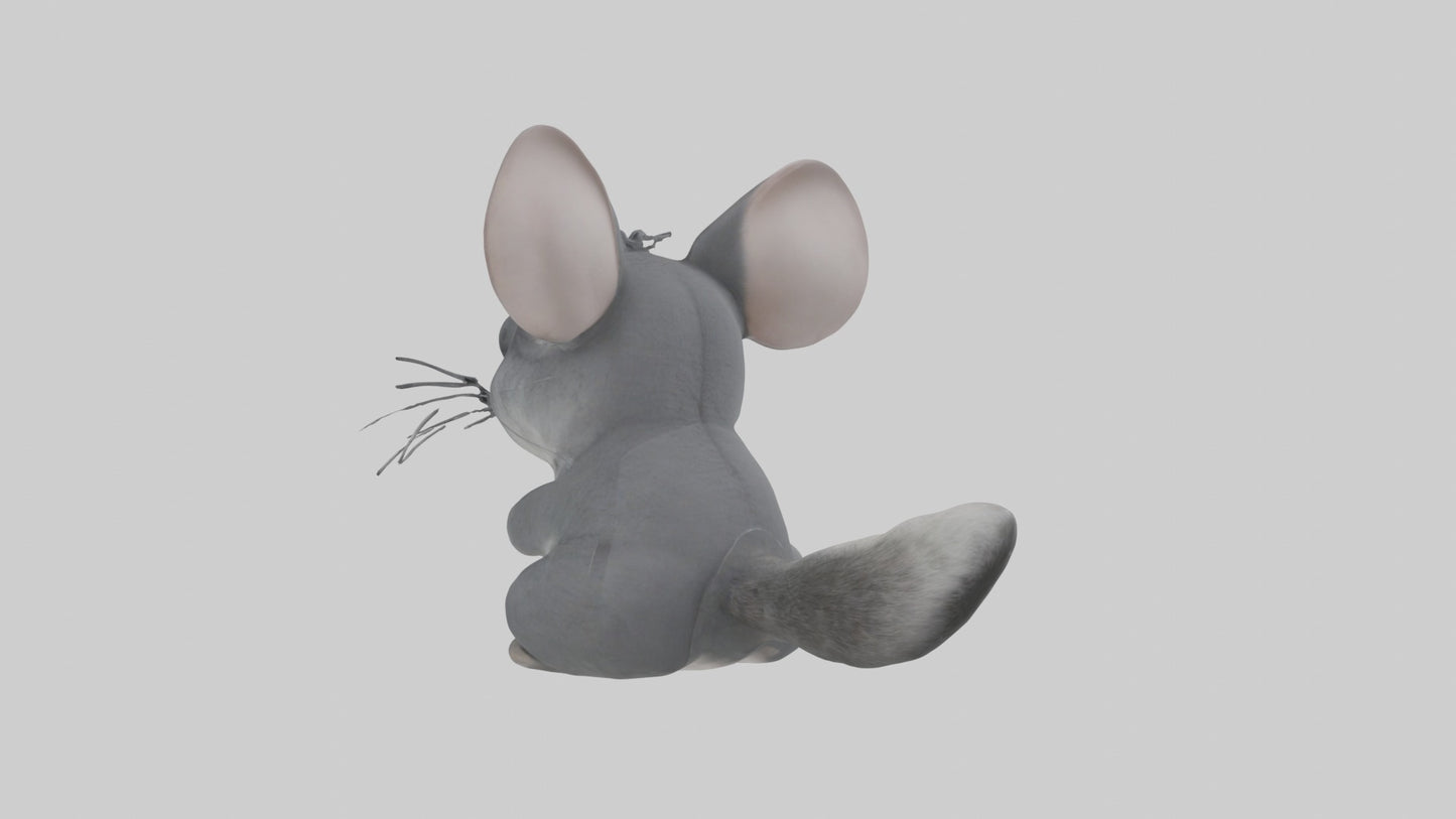 3D model Chinchilla Model 1 VR / AR / low-poly