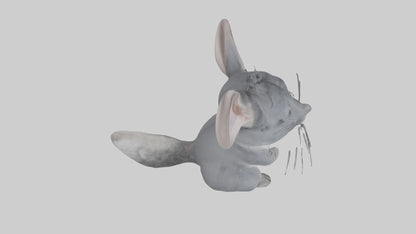 3D model Chinchilla Model 1 VR / AR / low-poly