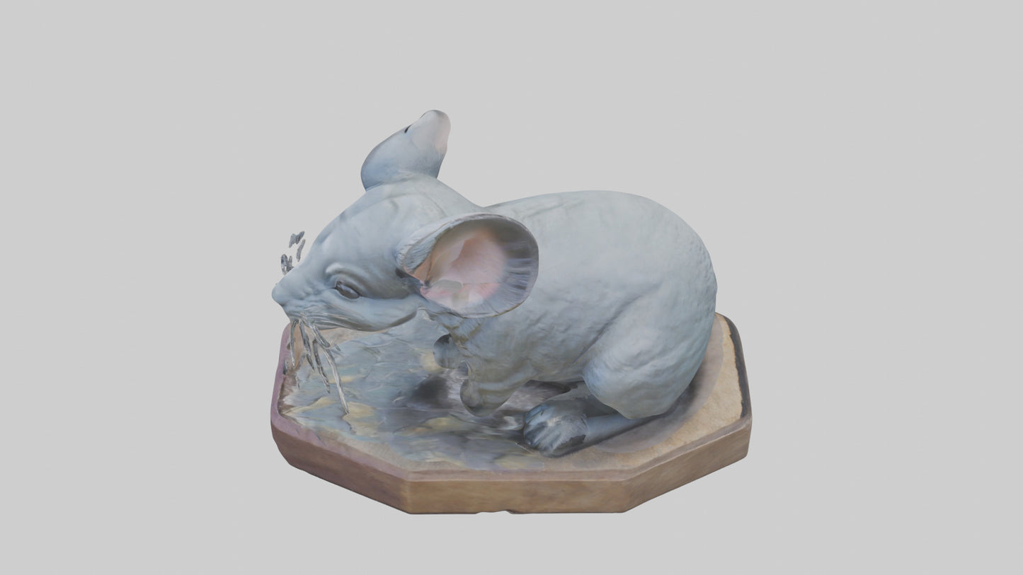 3D model Chinchilla statue model VR / AR / low-poly