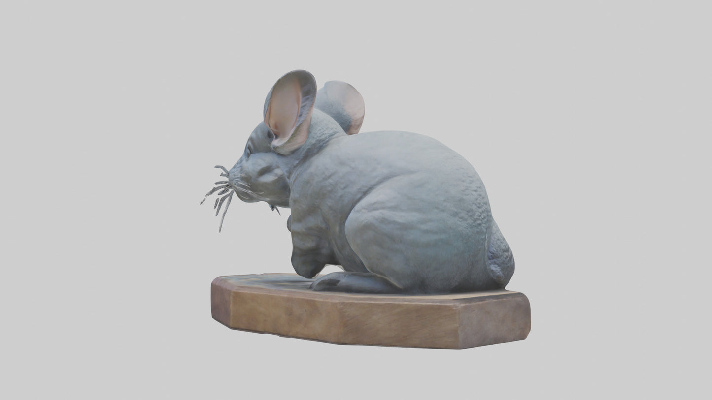 3D model Chinchilla statue model VR / AR / low-poly