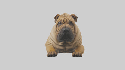 Chinese SharPei sitting model VR / AR / low-poly