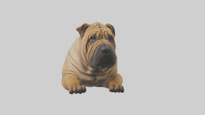 Chinese SharPei sitting model VR / AR / low-poly