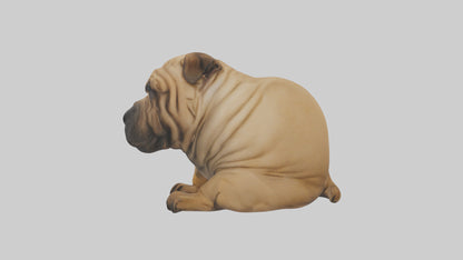 Chinese SharPei sitting model VR / AR / low-poly
