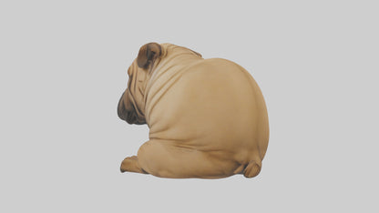 Chinese SharPei sitting model VR / AR / low-poly