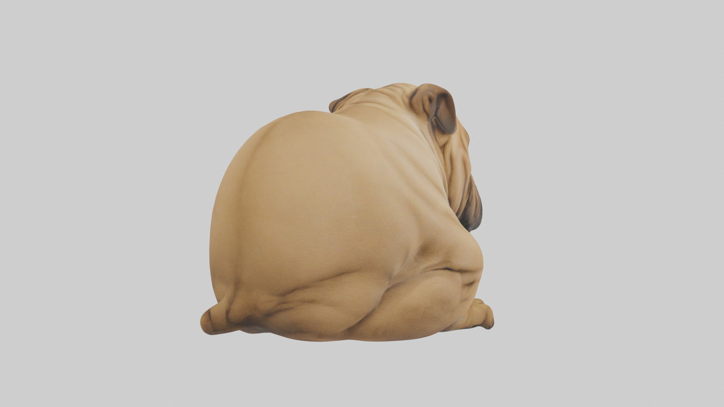 Chinese SharPei sitting model VR / AR / low-poly