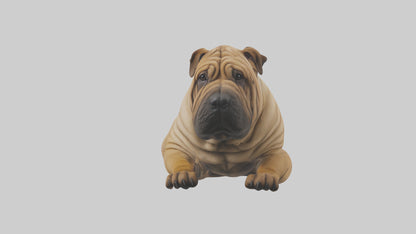 Chinese SharPei sitting model VR / AR / low-poly