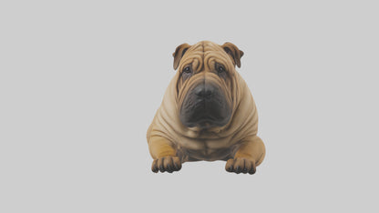 Chinese SharPei sitting model VR / AR / low-poly