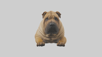 Chinese SharPei sitting model VR / AR / low-poly