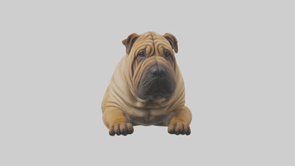 Chinese SharPei sitting model VR / AR / low-poly
