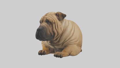 Chinese SharPei sitting model VR / AR / low-poly