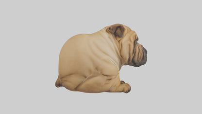 Chinese SharPei sitting model VR / AR / low-poly