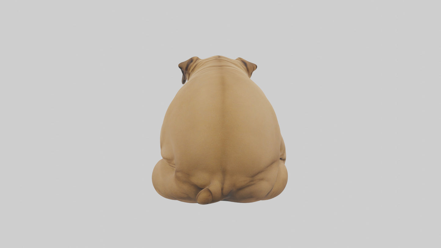 Chinese SharPei sitting model VR / AR / low-poly