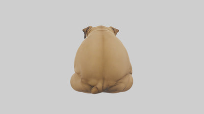 Chinese SharPei sitting model VR / AR / low-poly