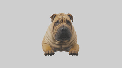 Chinese SharPei sitting model VR / AR / low-poly