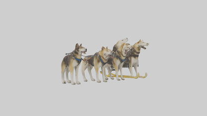 Chinook Dog sledding model VR / AR / low-poly