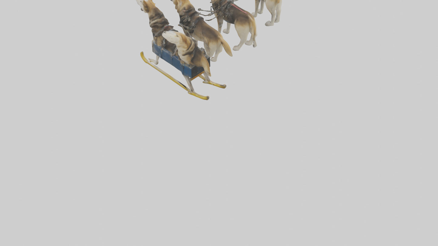 Chinook Dog sledding model VR / AR / low-poly