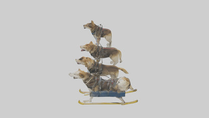 Chinook Dog sledding model VR / AR / low-poly