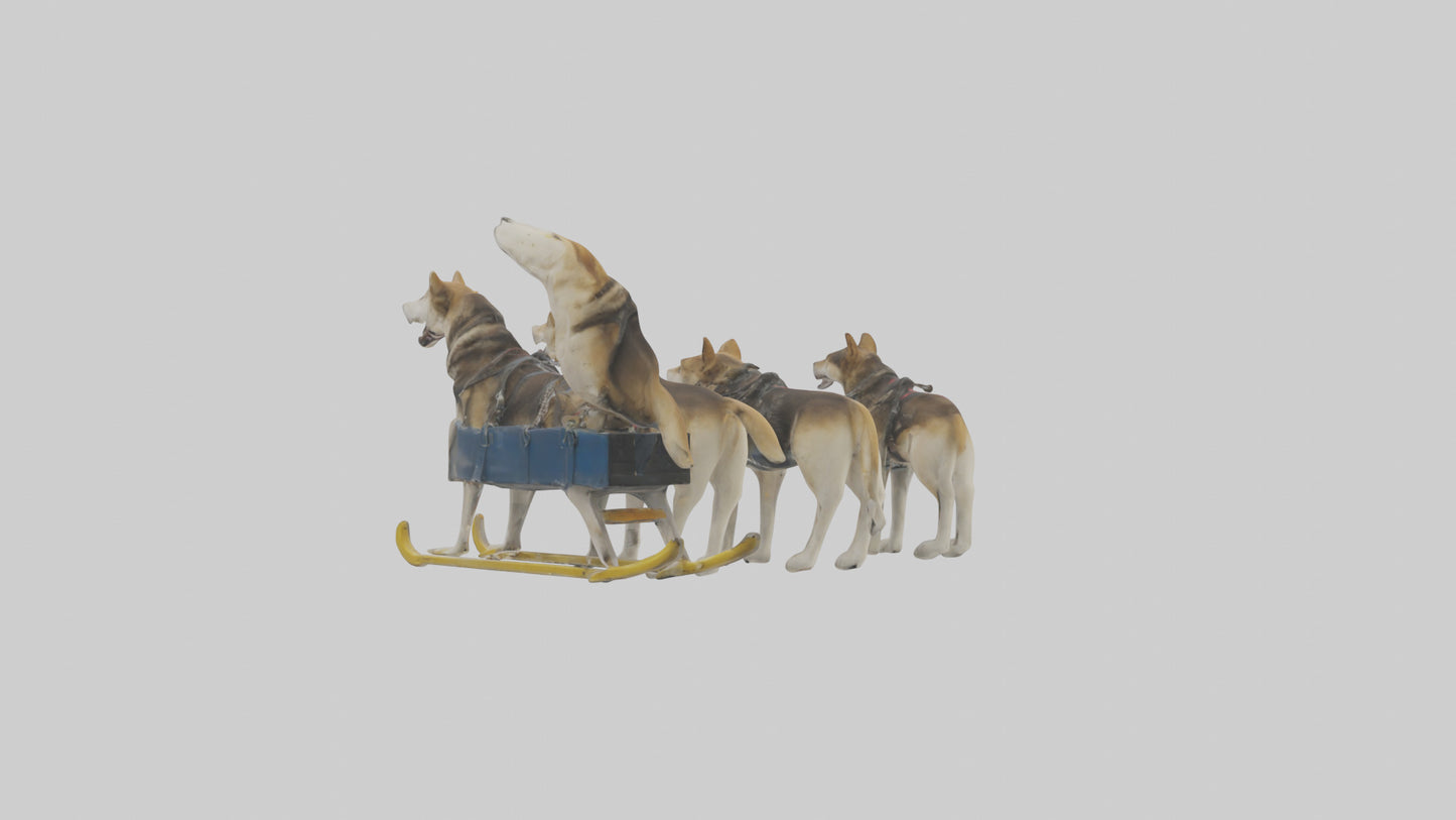 Chinook Dog sledding model VR / AR / low-poly