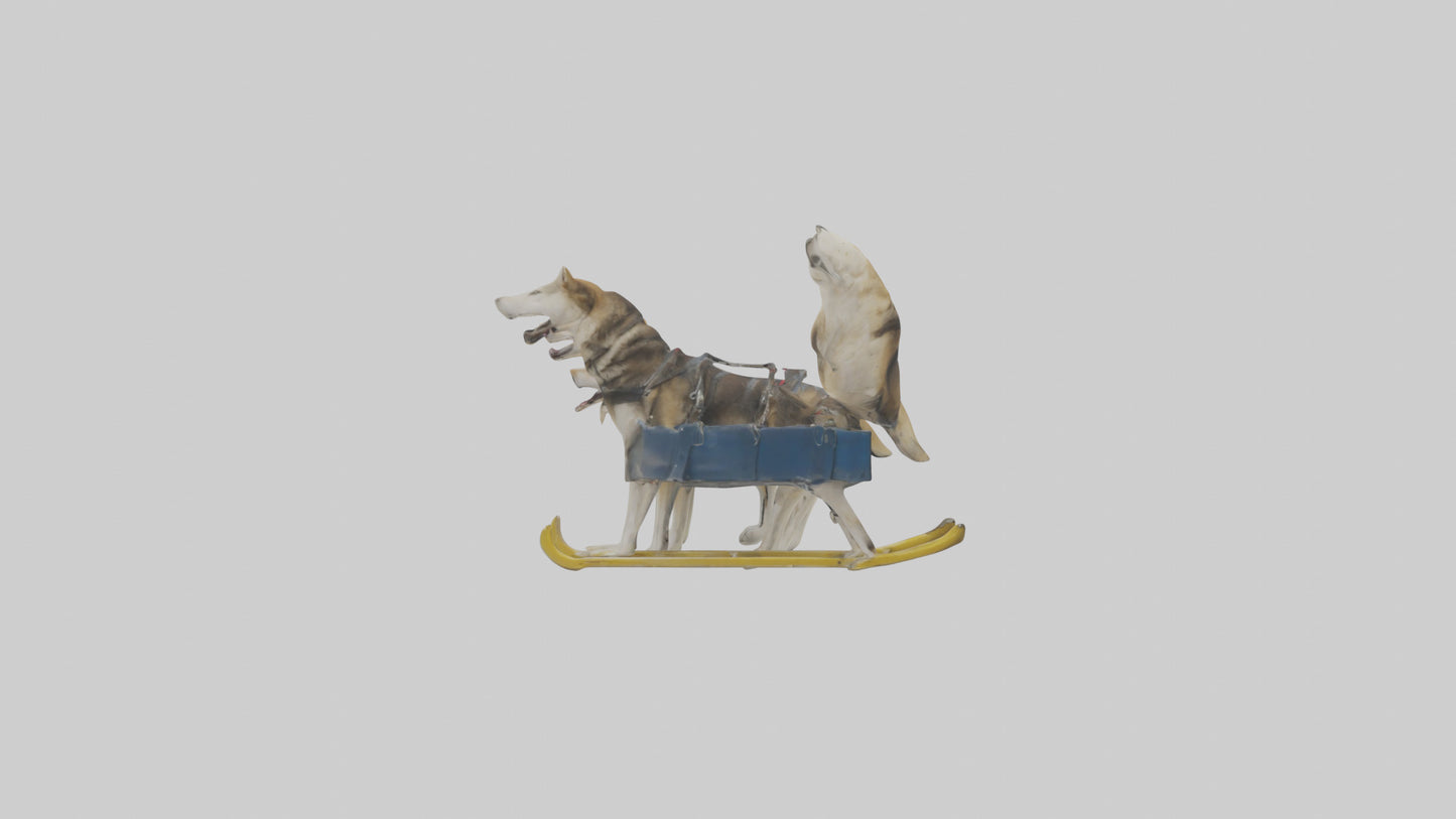 Chinook Dog sledding model VR / AR / low-poly