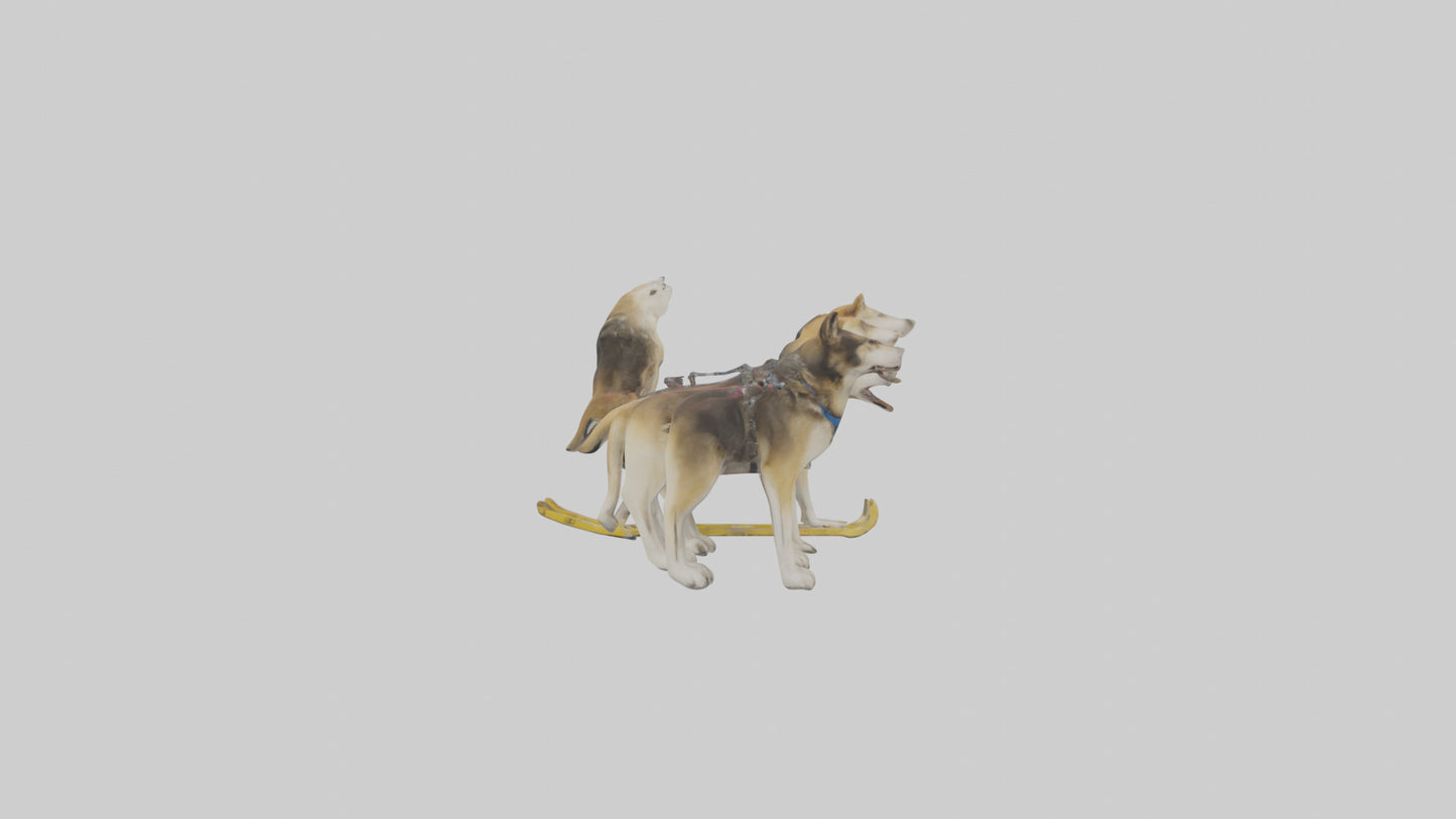 Chinook Dog sledding model VR / AR / low-poly