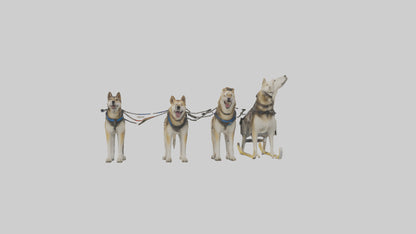 Chinook Dog sledding model VR / AR / low-poly